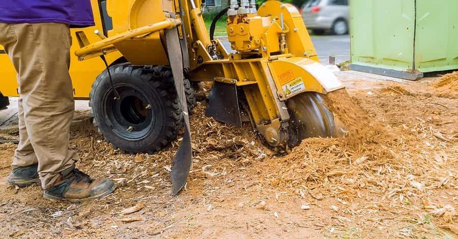 Professional tree service in St. Louis County